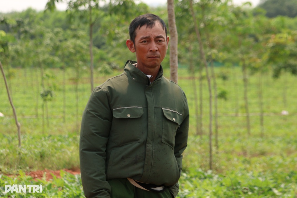 Dưa hấu lại rơi cảnh 2.000-3.000 đồng/kg, nông dân càng bán càng lỗ - 2