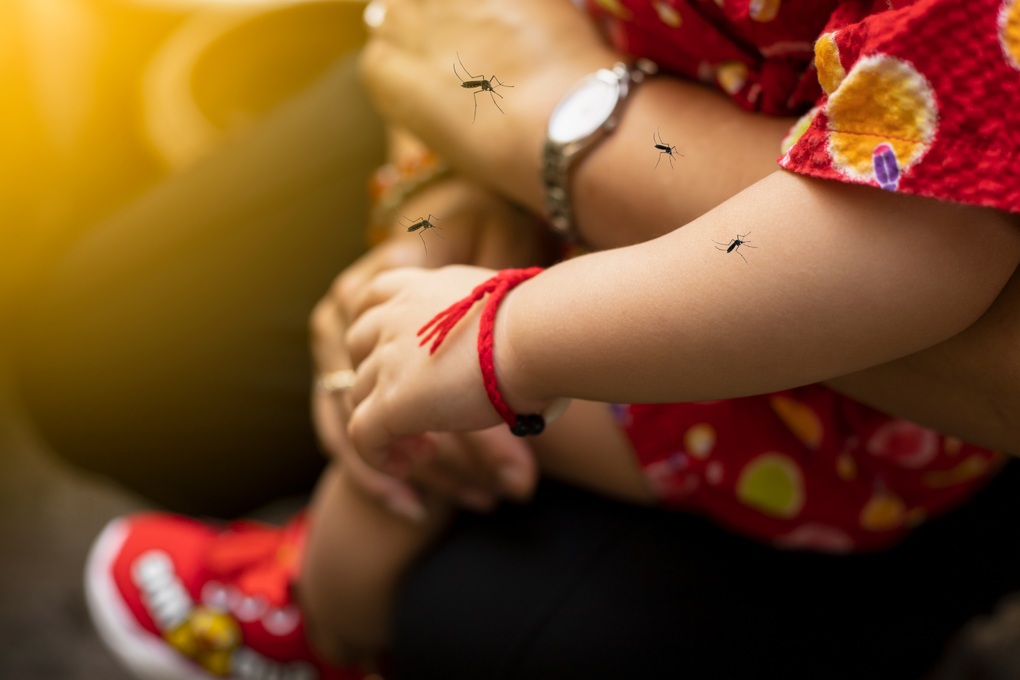Sốt xuất huyết Dengue tại miền Trung - Tây Nguyên: Không chỉ mùa mưa, không chừa độ tuổi - 1