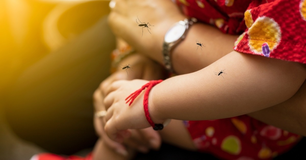 Sốt xuất huyết Dengue tại miền Trung - Tây Nguyên: Không chỉ mùa mưa, không chừa độ tuổi