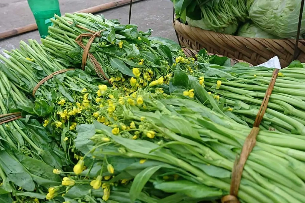 Loại rau trong nhóm tốt nhất thế giới trồng bạt ngàn ở Việt Nam - 1