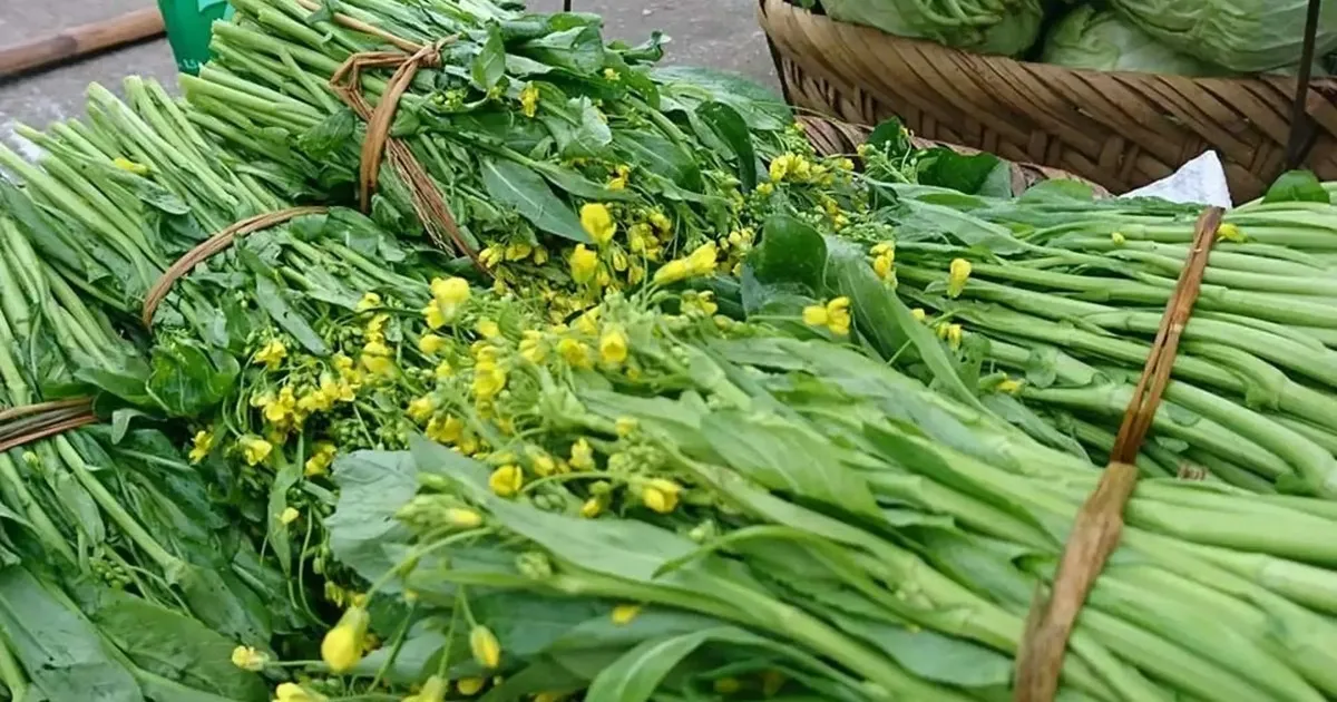 Loại rau trong nhóm tốt nhất thế giới trồng bạt ngàn ở Việt Nam