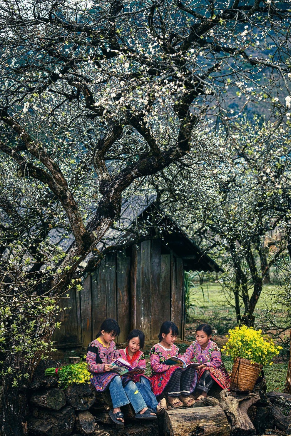 Cuộc thi ảnh “Việt Nam trong mắt tôi” nhận 300 tác phẩm chỉ sau một tuần - 5