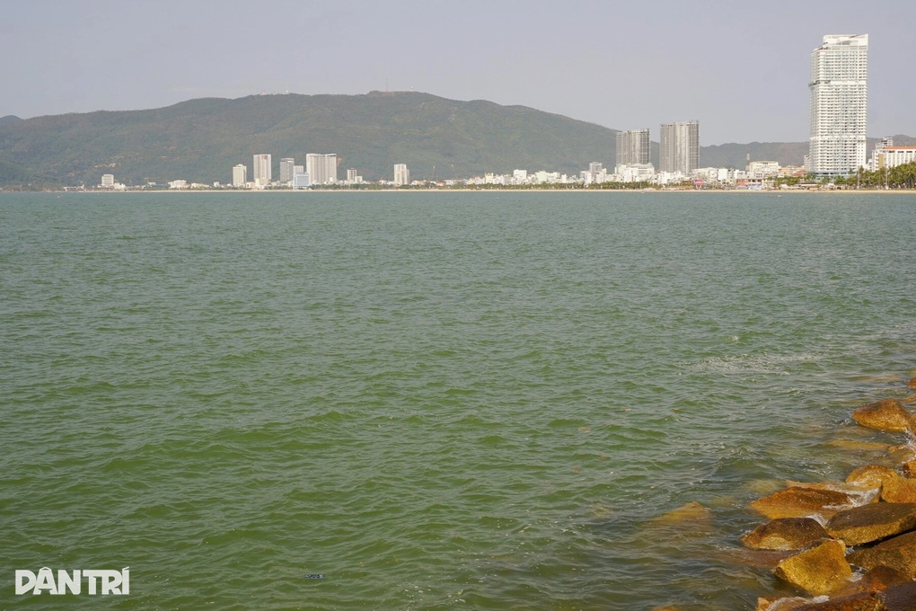 Vật thể lạ giống xe tăng lộ ra ở bãi biển Quy Nhơn - 2