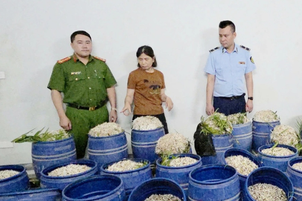 Chủ tịch xã, phường chịu trách nhiệm về an toàn thực phẩm trên địa bàn - 1