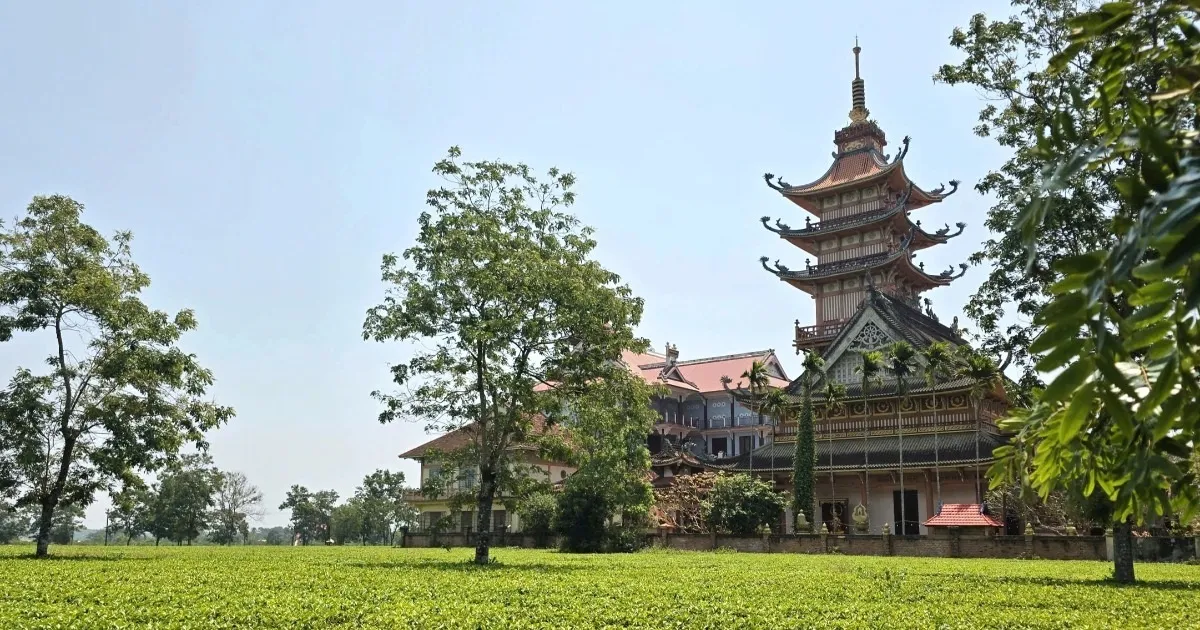 Gia Lai bác đề xuất chuyển đổi, yêu cầu giữ nguyên hơn 62ha chè ở Biển Hồ