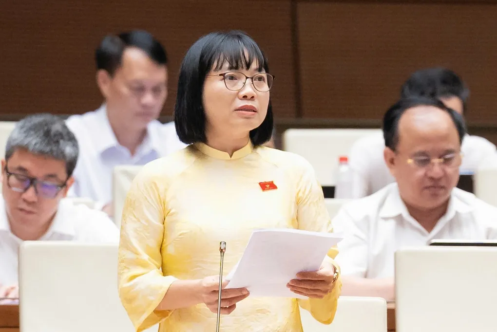 Luật sư công nhận 0,5 lần lương cơ sở/buổi: Mức bồi dưỡng chưa tương xứng - 2