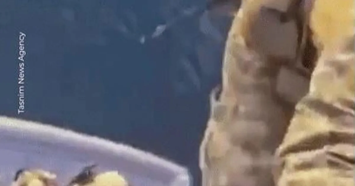 Khoảnh khắc binh sĩ Iran vây bắt tàu hàng ở eo biển Hormuz