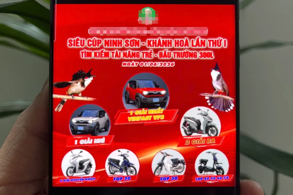 Xôn xao cuộc thi “tiếng hót chim chào mào”, giải nhất, nhì được tặng ô tô - 1