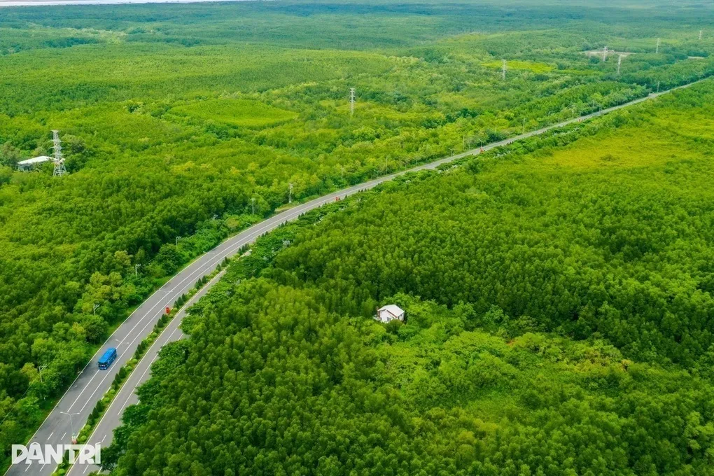 Đề xuất mở rộng đường Nguyễn Tất Thành cùng lúc làm metro nối Cần Giờ - 2