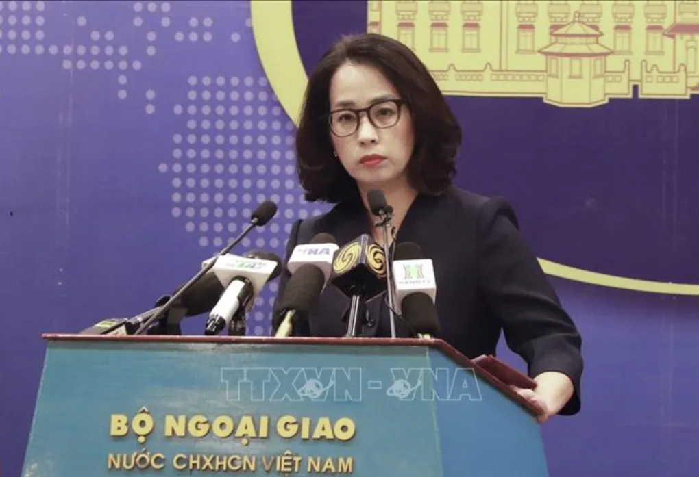 Việt Nam bảo hộ công dân tại Nhật Bản trước cảnh báo động đất, sóng thần - 1