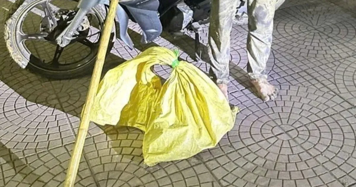 Hai đối tượng chuyên trộm mèo ở Hải Phòng bị bắt