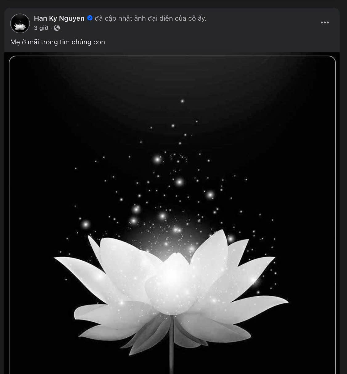 Mất mát lớn của người mẫu Kỳ Hân- Ảnh 1.