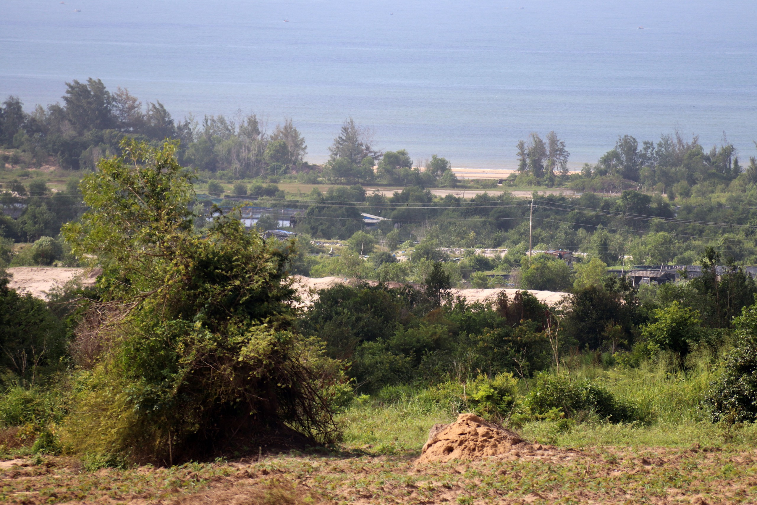 Lâm Đồng kiến nghị lùi thời gian thực hiện dự án năng lượng tỉ đô Sơn Mỹ - Ảnh 4.
