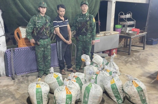 Bắt quả tang gần 400 kg nghi vật liệu nổ vận chuyển trái phép ở Quảng Ngãi - Ảnh 1.