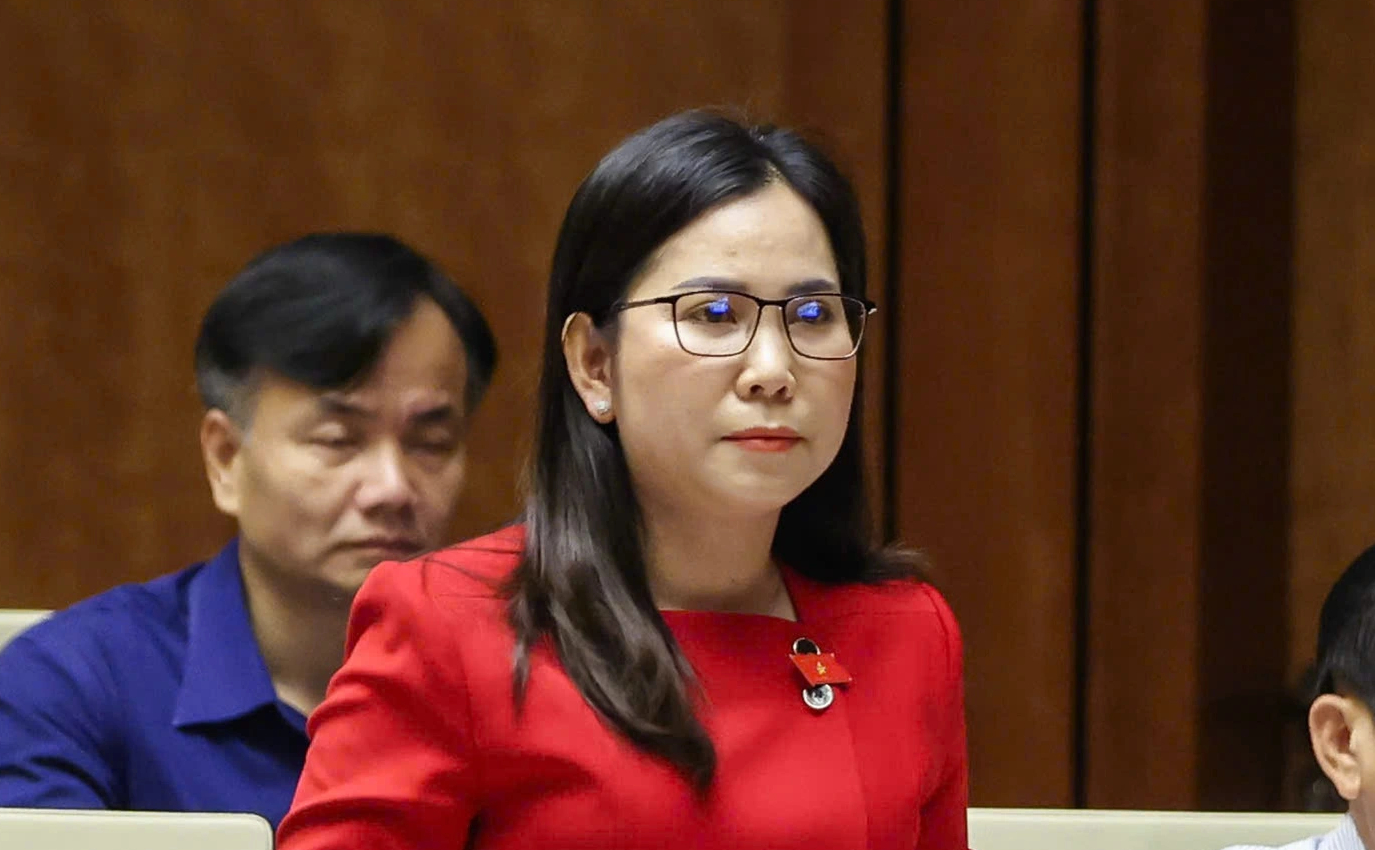 Đại biểu đề nghị chính sách thuế ưu đãi đối với gia đình nuôi con nhỏ - Ảnh 1.