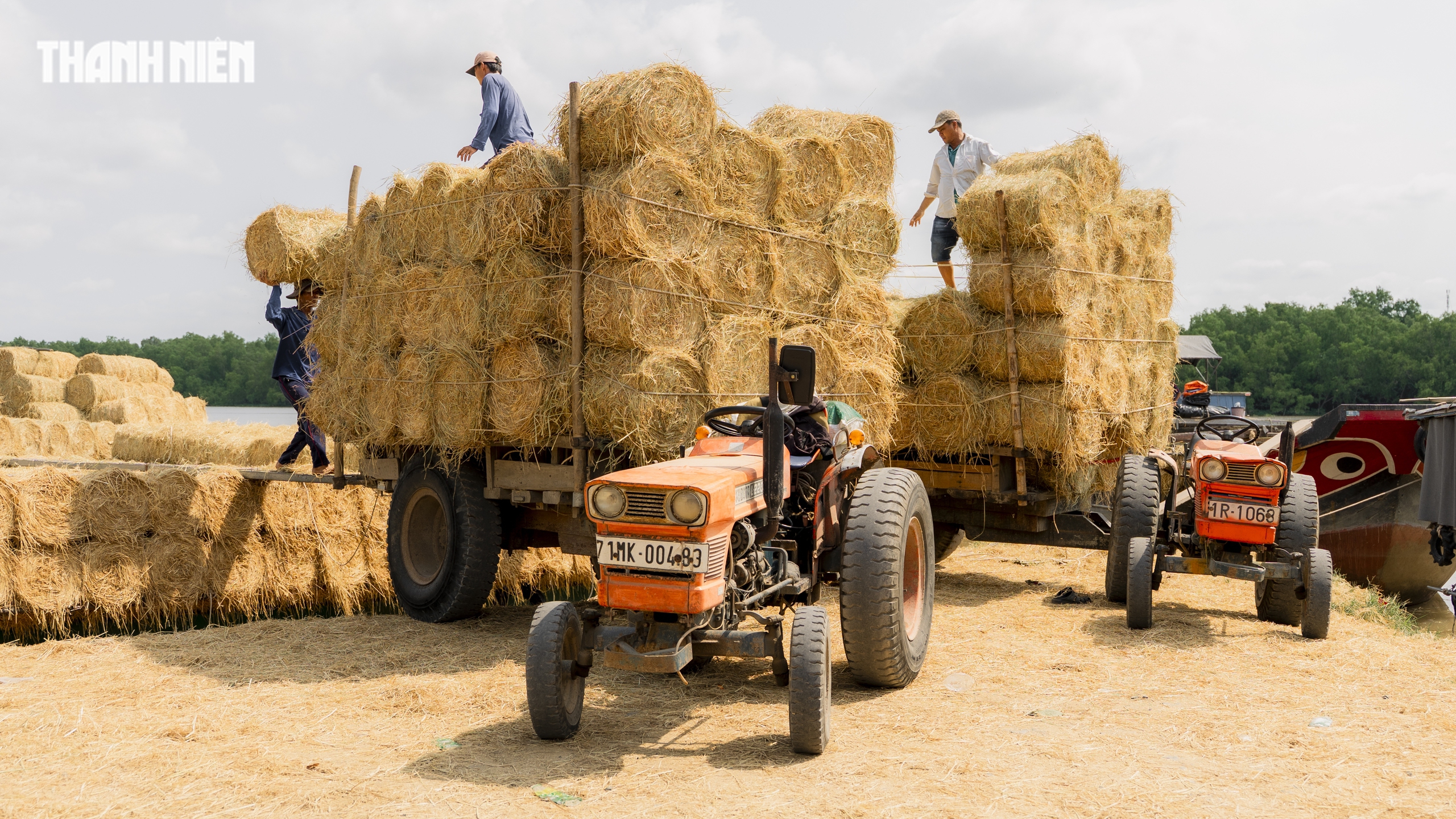 Chợ rơm cuộn Ba Lai: Nơi giao thương Nhộn nhịp và Nụ cười Giữa nắng hè - Ảnh 12.