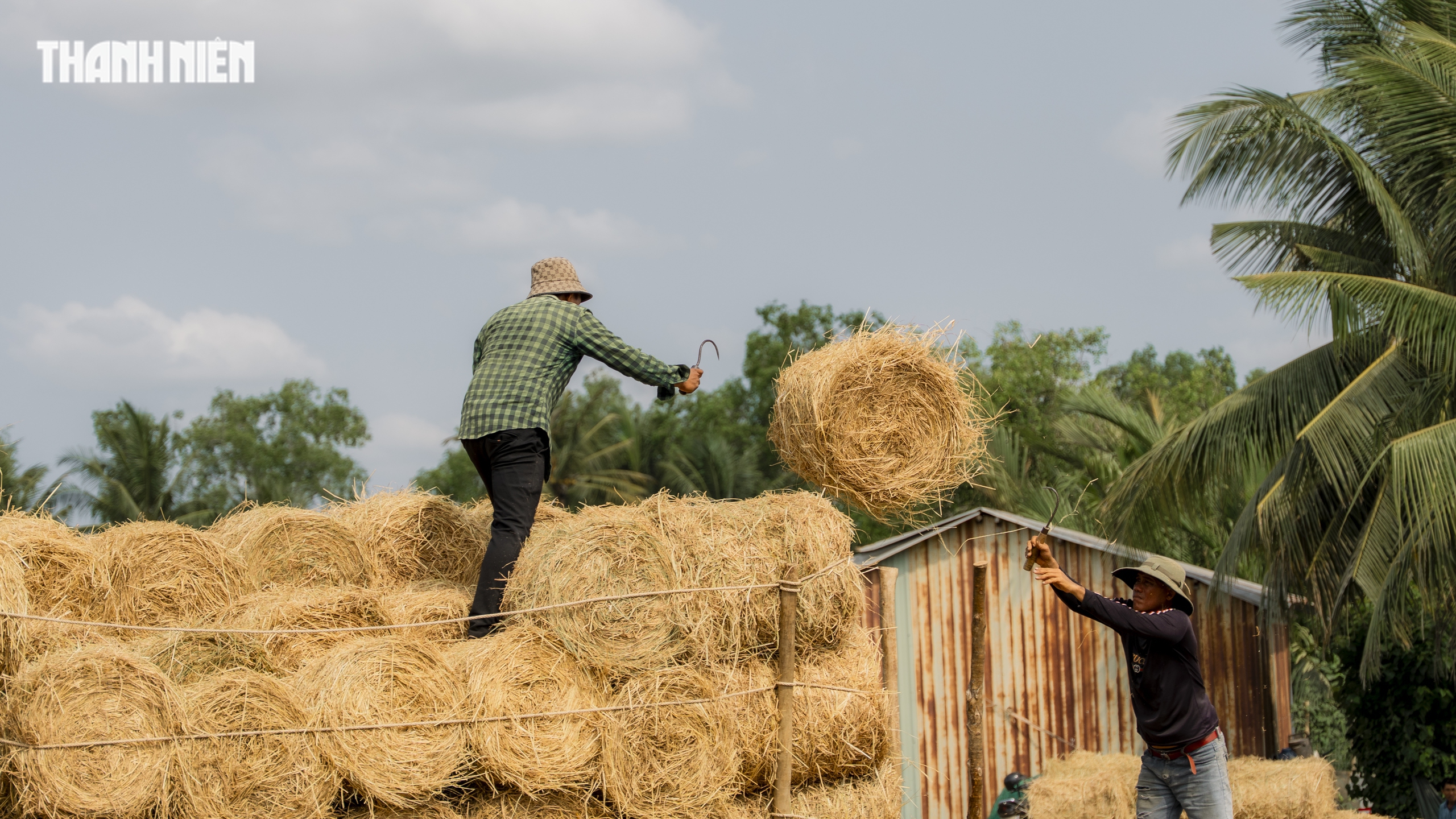 Chợ rơm cuộn Ba Lai: Nơi giao thương Nhộn nhịp và Nụ cười Giữa nắng hè - Ảnh 5.