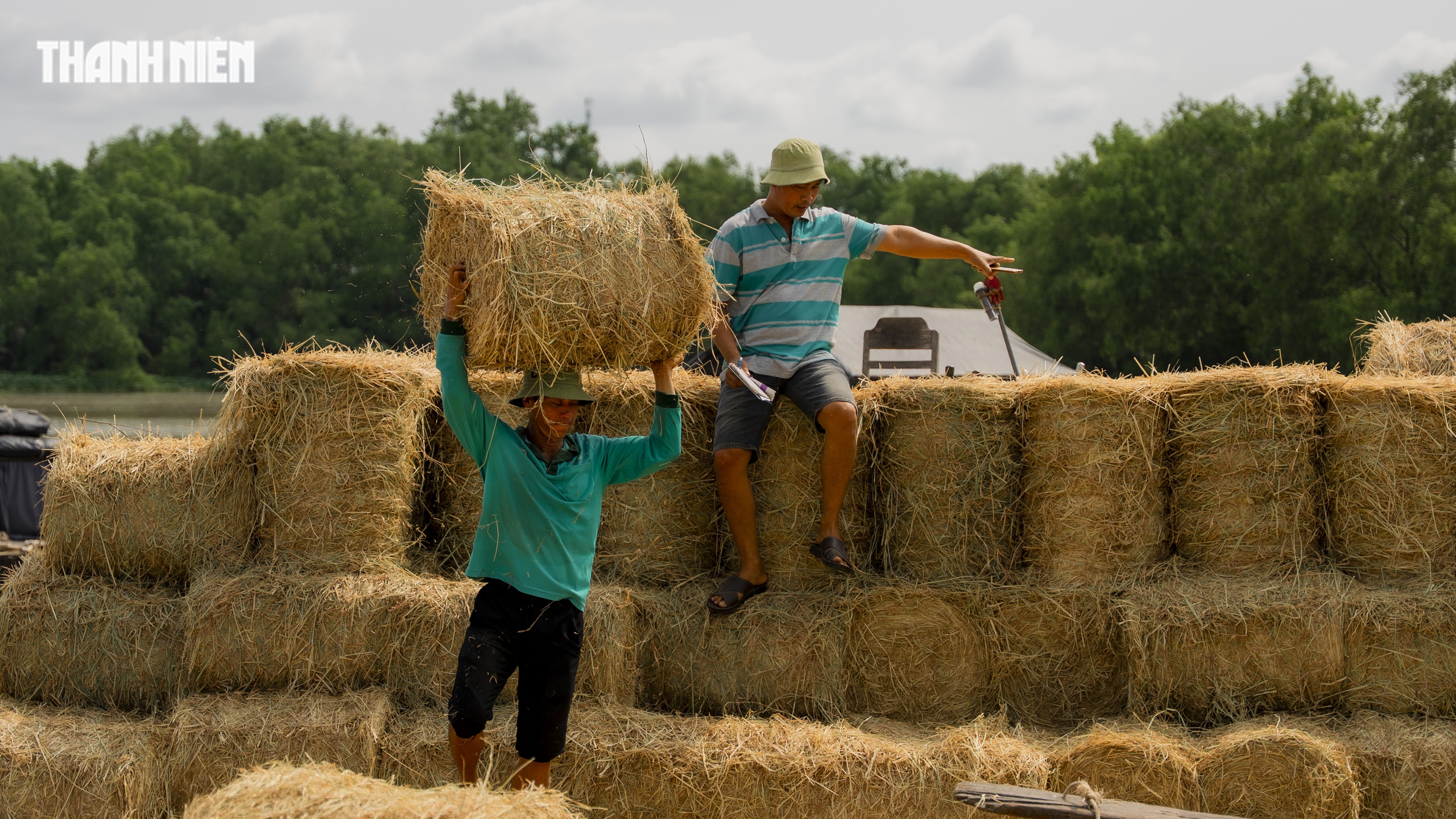 Chợ rơm cuộn Ba Lai: Nơi giao thương Nhộn nhịp và Nụ cười Giữa nắng hè - Ảnh 8.