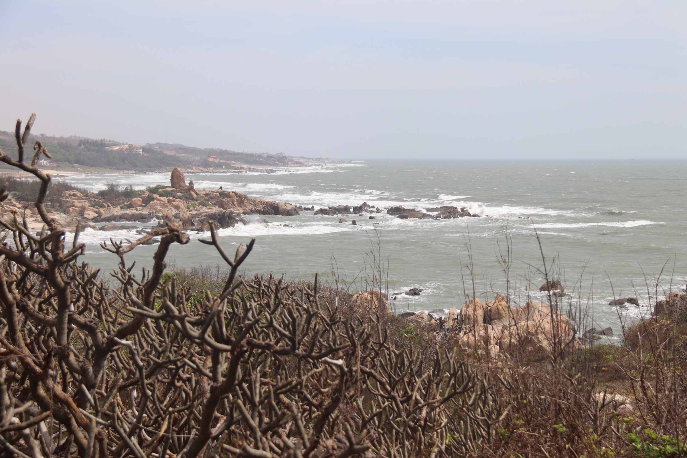 Chồng lấn điện gió ngoài khơi: Lỗ hổng điều phối, nguy cơ lãng phí tài nguyên biển - Ảnh 1.