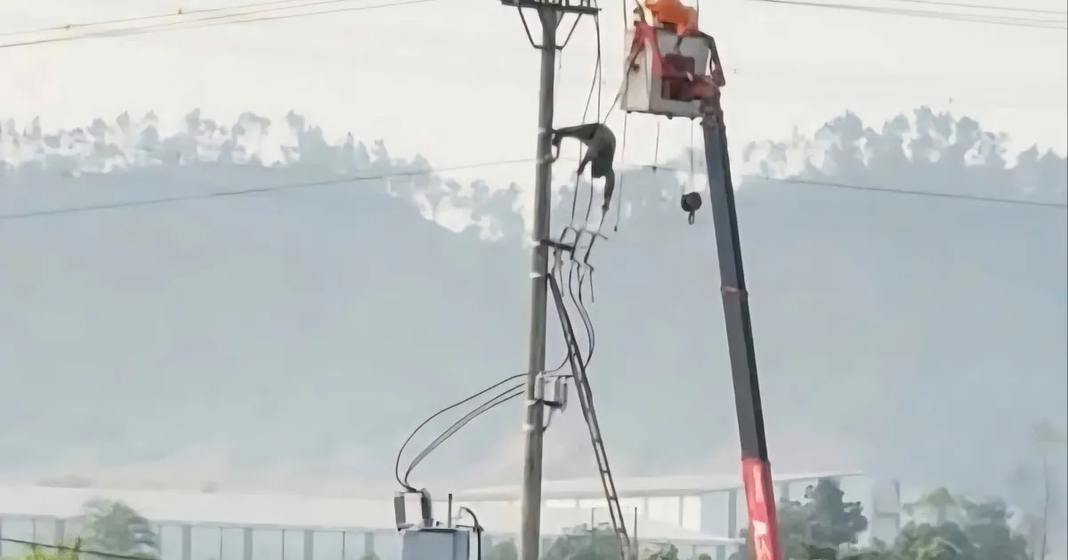 Nam sinh lớp 8 tử vong trên cột điện