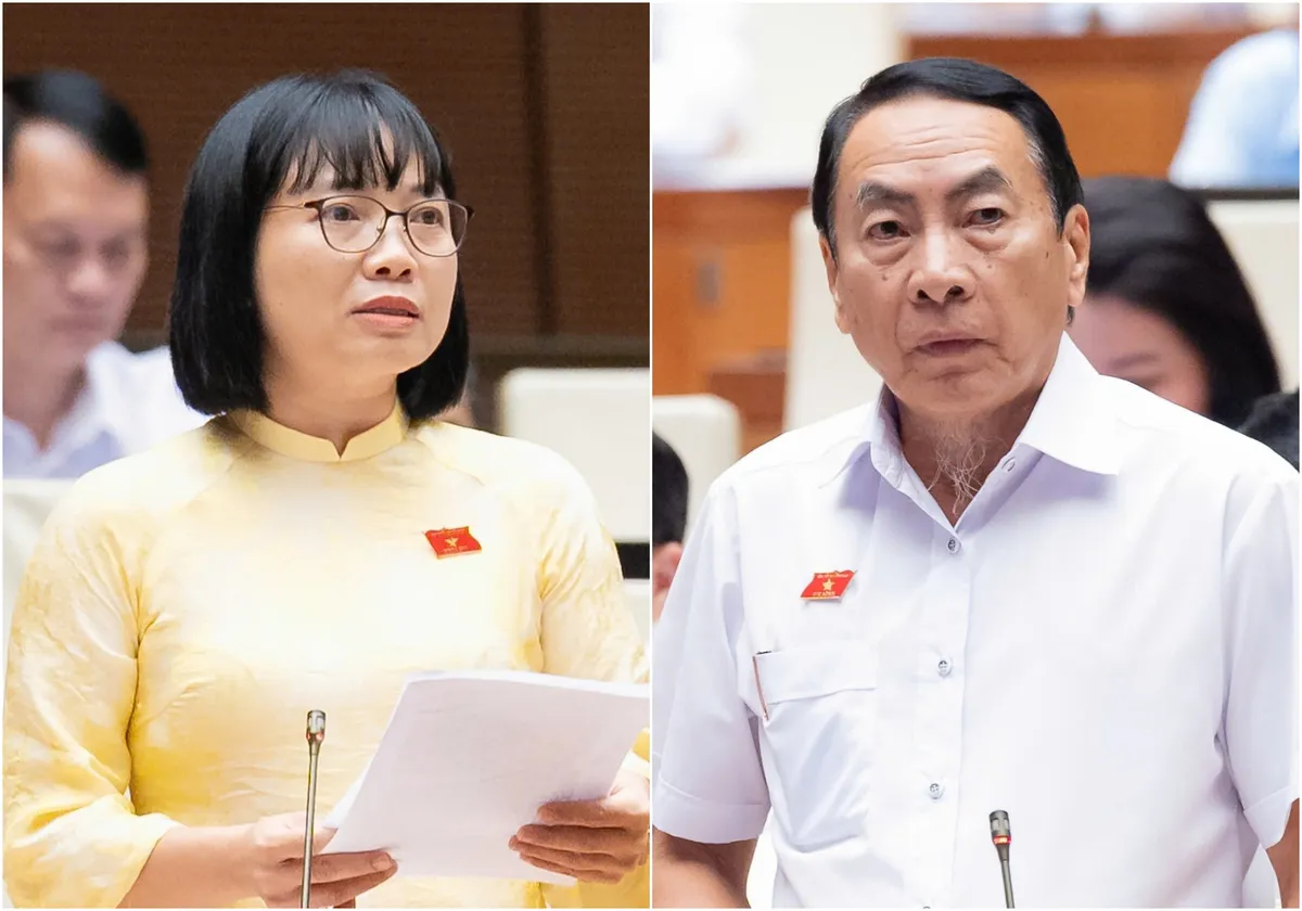 Luật sư công 'ế việc' cả tháng, chế độ đãi ngộ sẽ thế nào?- Ảnh 2.