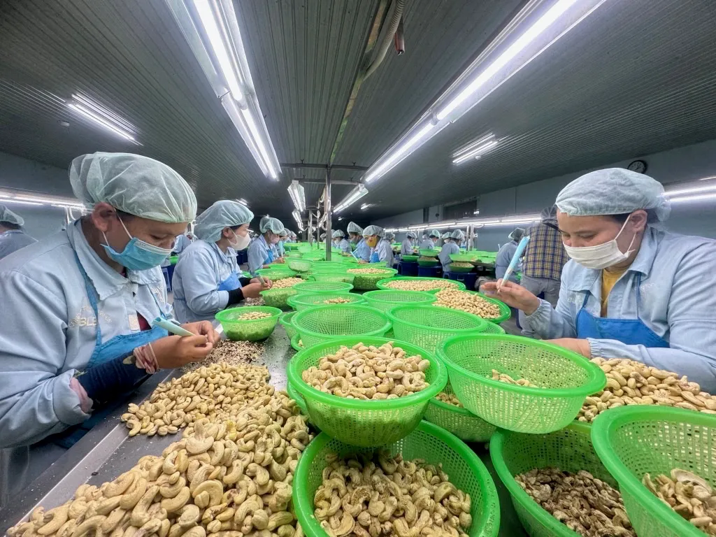 Mỹ hoàn thuế, doanh nghiệp Việt Nam có được hưởng lợi?- Ảnh 1.