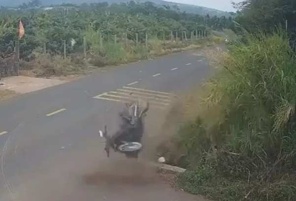 Vụ nam sinh lớp 12 tử vong ở Đắk Lắk: Khởi tố cựu cán bộ CSGT- Ảnh 2.