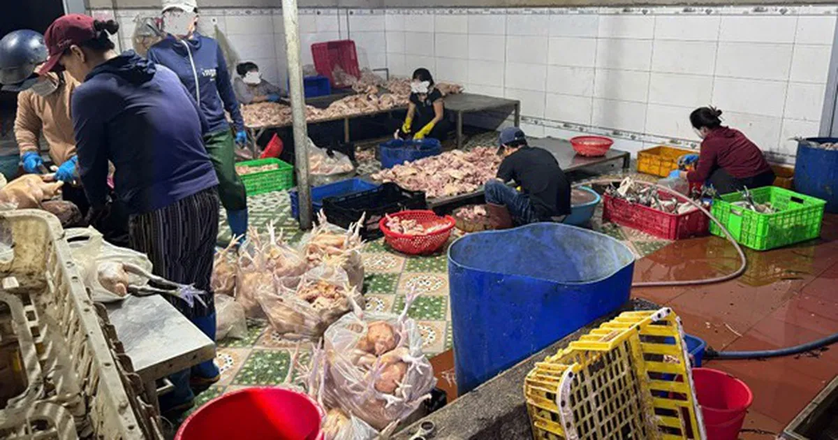 'Thực phẩm bẩn' nhức nhối, Bộ Y tế đề xuất phạt tiền đến 100 triệu đồng