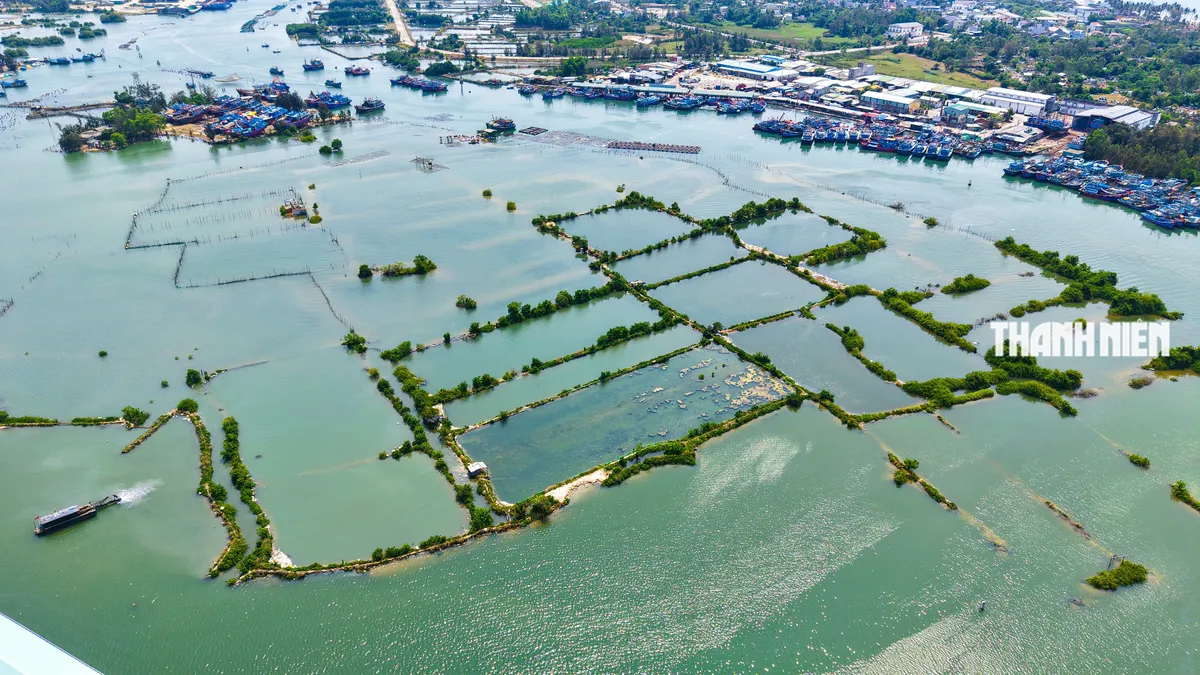 Cảng cá Tịnh Hòa vướng mặt bằng: Nửa tiến độ bị 'níu chân' - Ảnh 2.