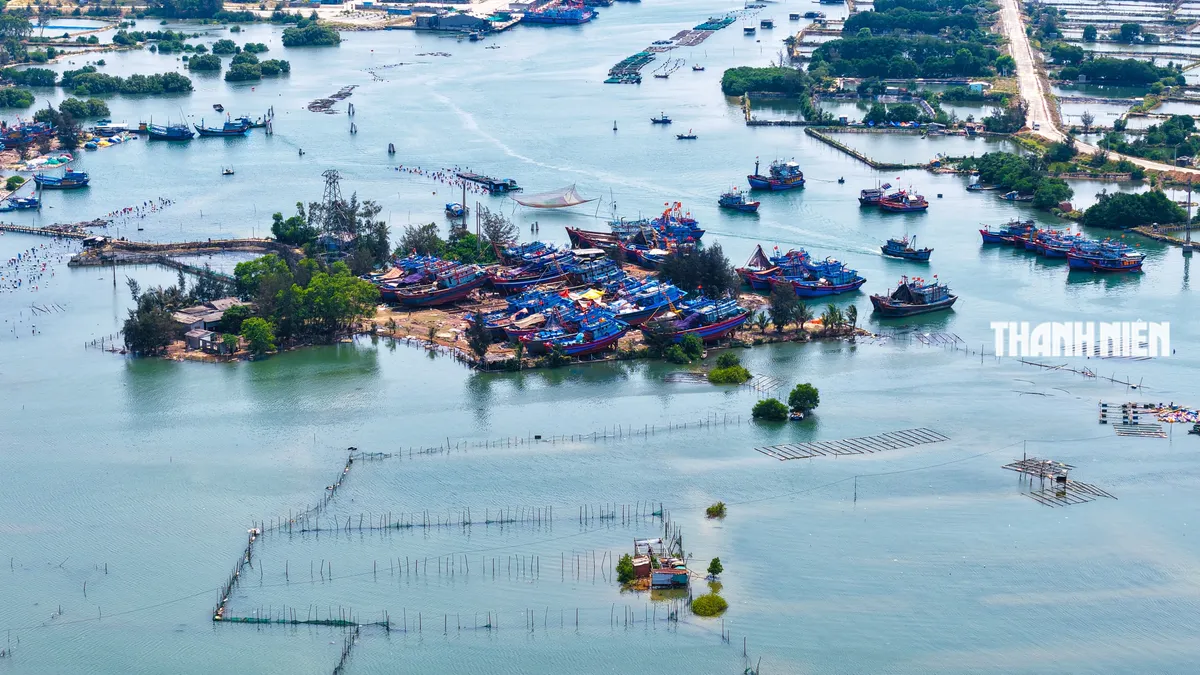 Cảng cá Tịnh Hòa vướng mặt bằng: Nửa tiến độ bị 'níu chân' - Ảnh 3.