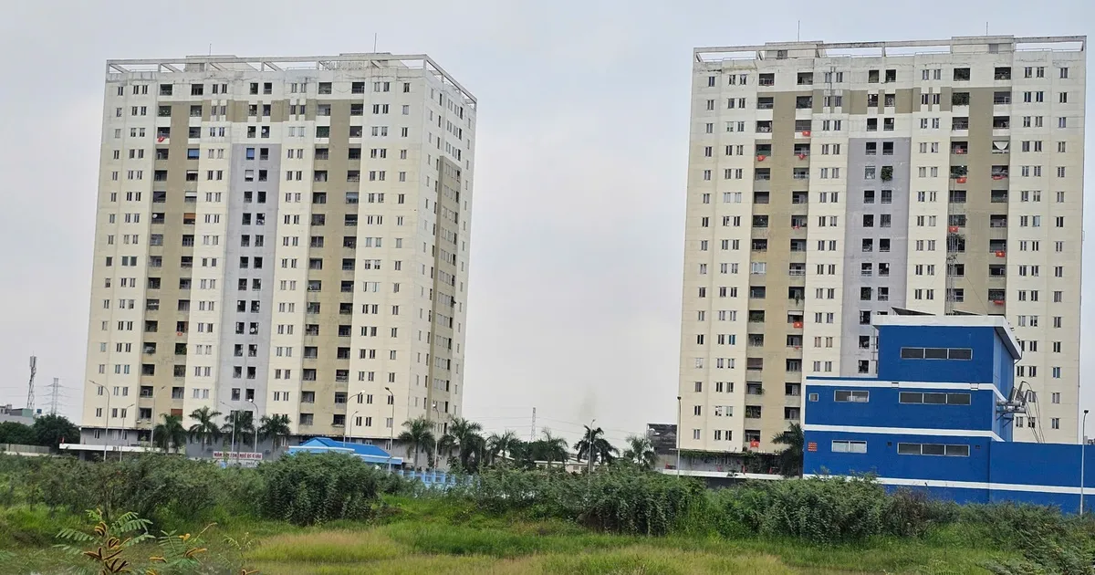 Chung cư Tín Phong 10 năm vẫn chưa cấp sổ hồng: Sở Xây dựng TP.HCM nói gì?