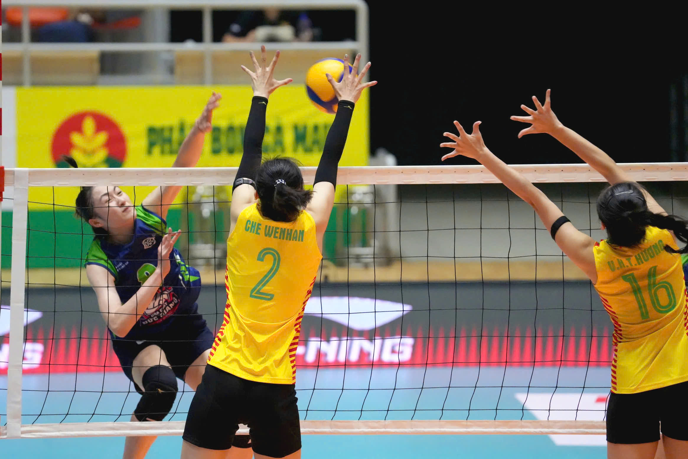 bóng chuyền - Ảnh 2.