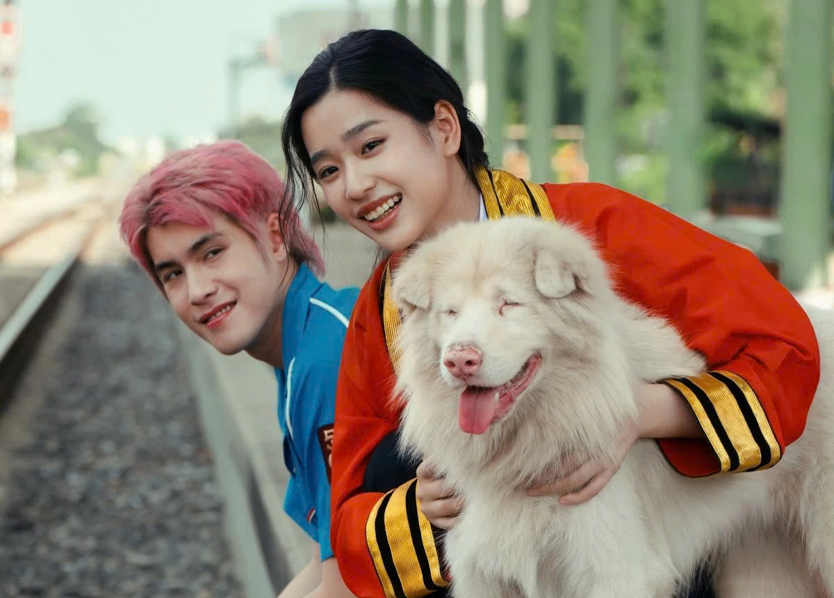 Tạm biệt Gohan - Ảnh 2.