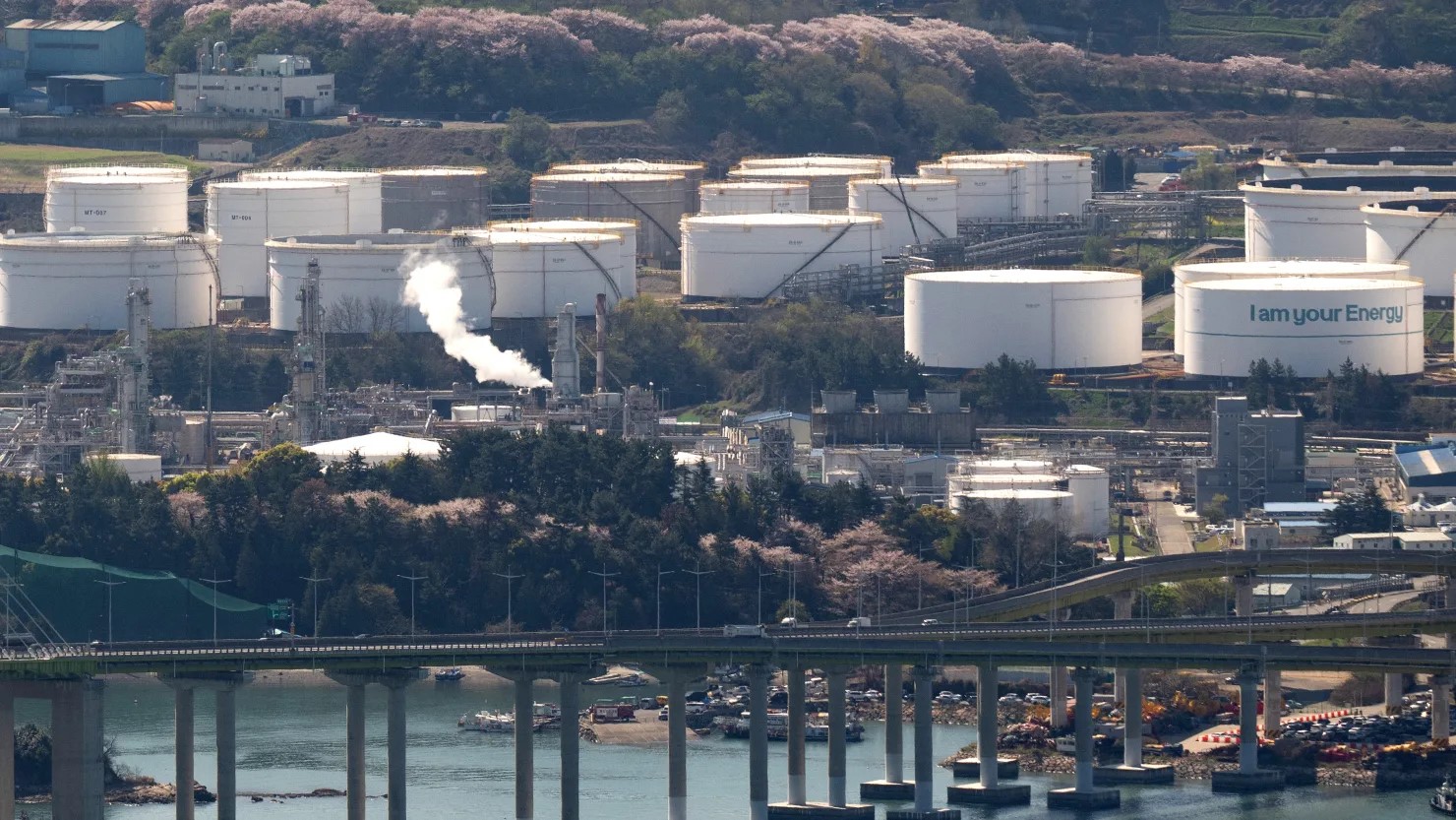 giá dầu - Ảnh 1.