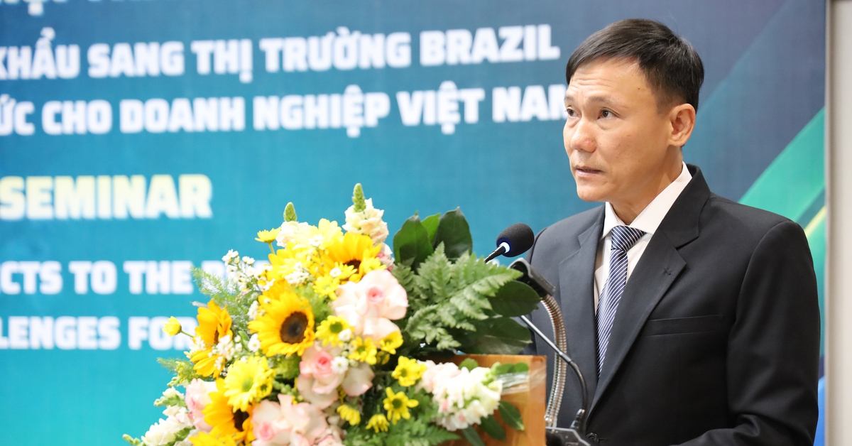 Doanh nghiệp cần lưu ý gì khi mở rộng xuất khẩu sang thị trường Brazil