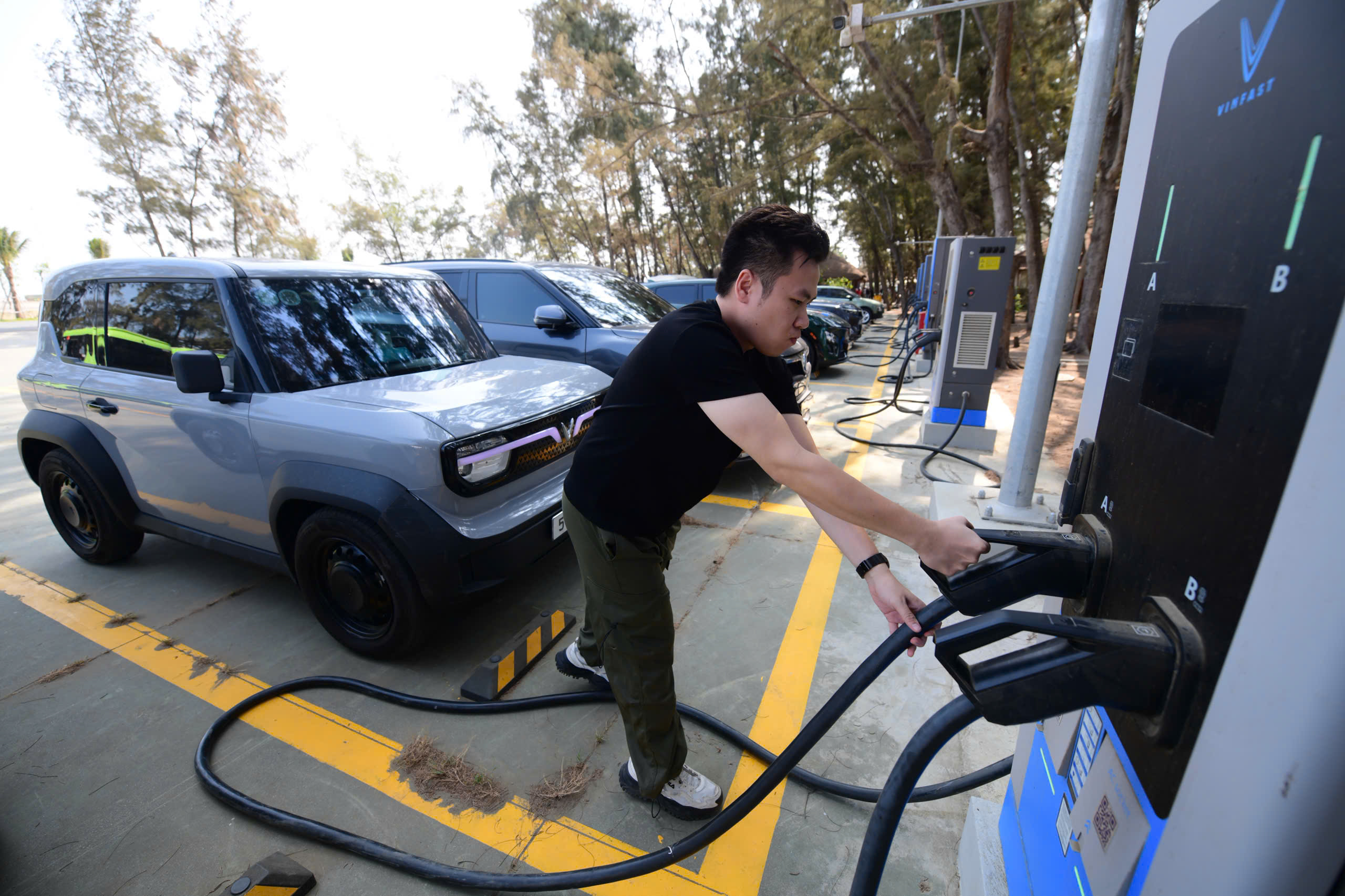 năng lượng - Ảnh 4.