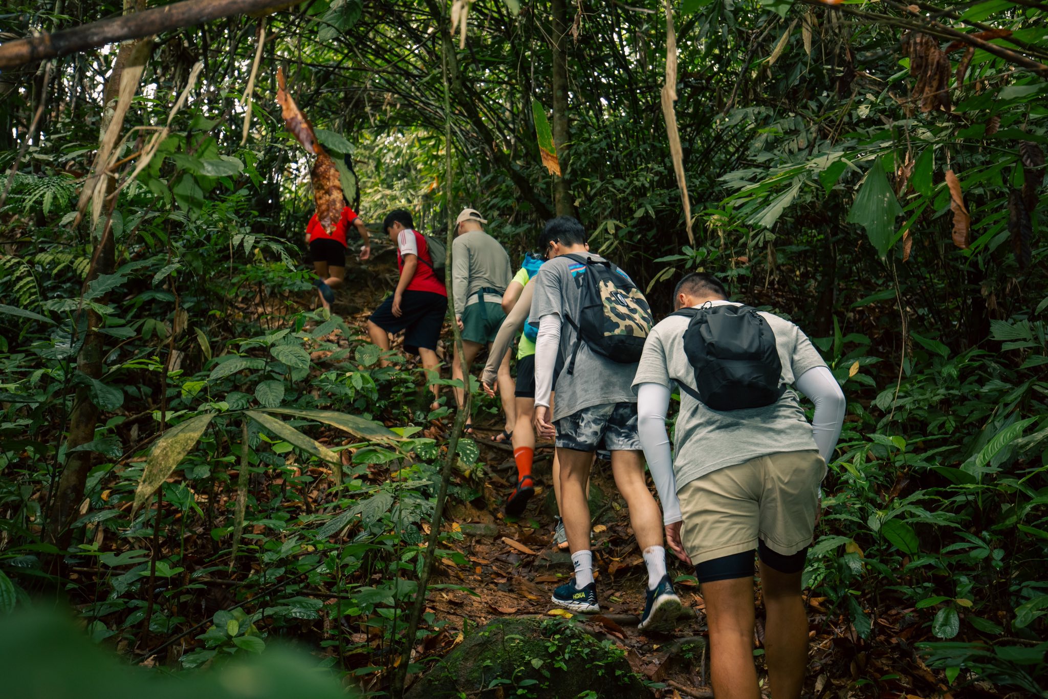 tam đảo bắc - Ảnh 1.