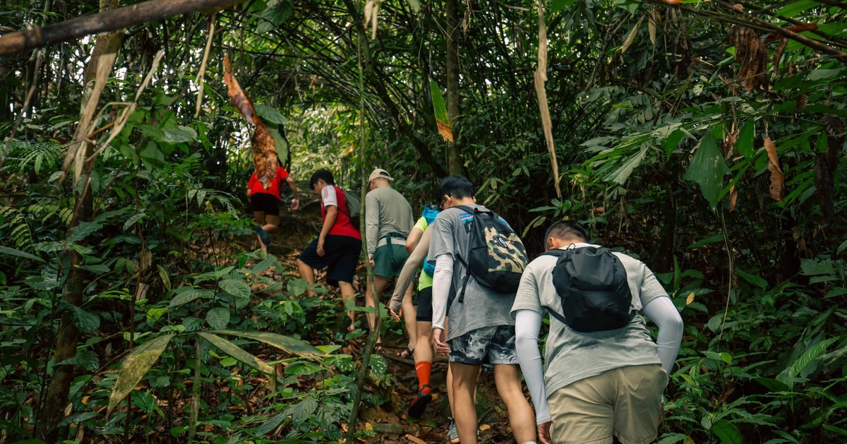 Trekking Tam Đảo Bắc không dễ, thuộc top 'khó nhằn' nhất miền Bắc