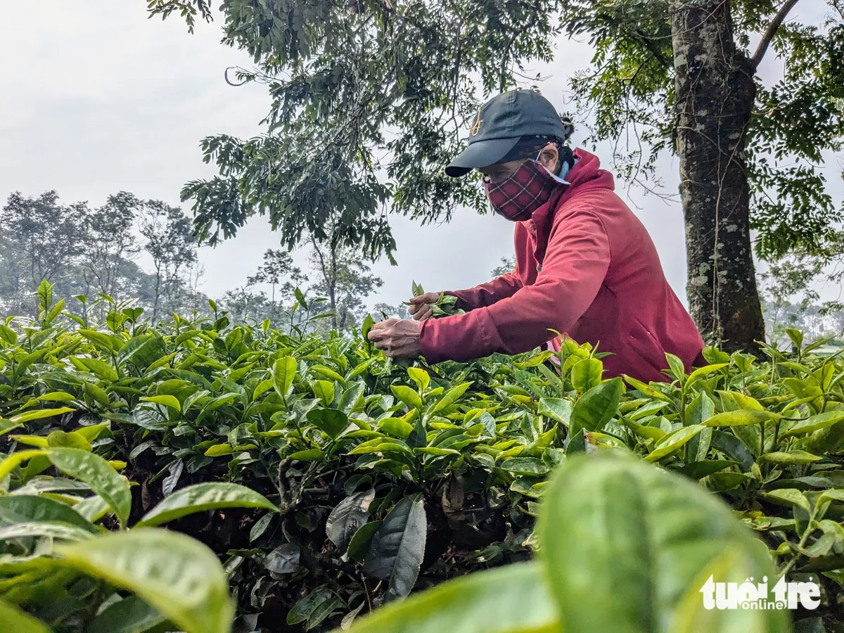 Biển Hồ - Ảnh 1.