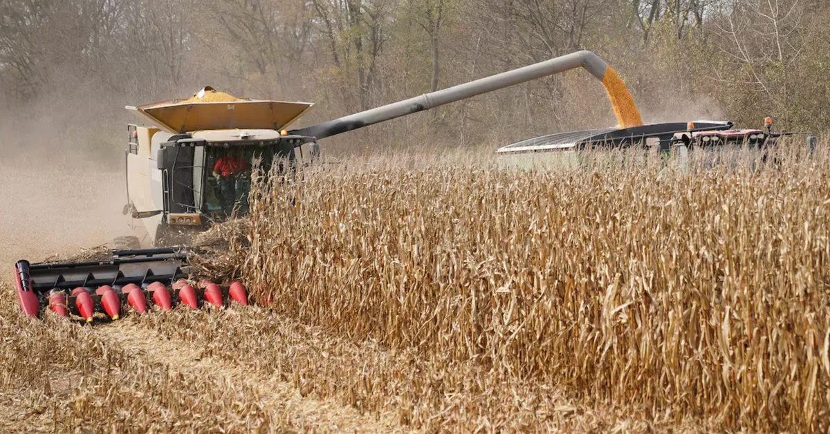 Bộ Nông nghiệp Mỹ tính tăng xuất khẩu ngô sang Việt Nam phục vụ sản xuất xăng E10