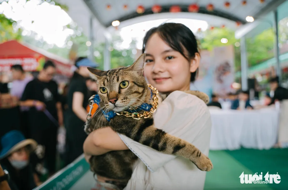 chó, mèo - Ảnh 2.