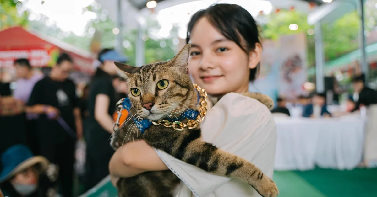 Người trẻ chi đậm để nuôi chó, mèo như 'em bé', 'con cưng', nhiều cảnh báo đi kèm