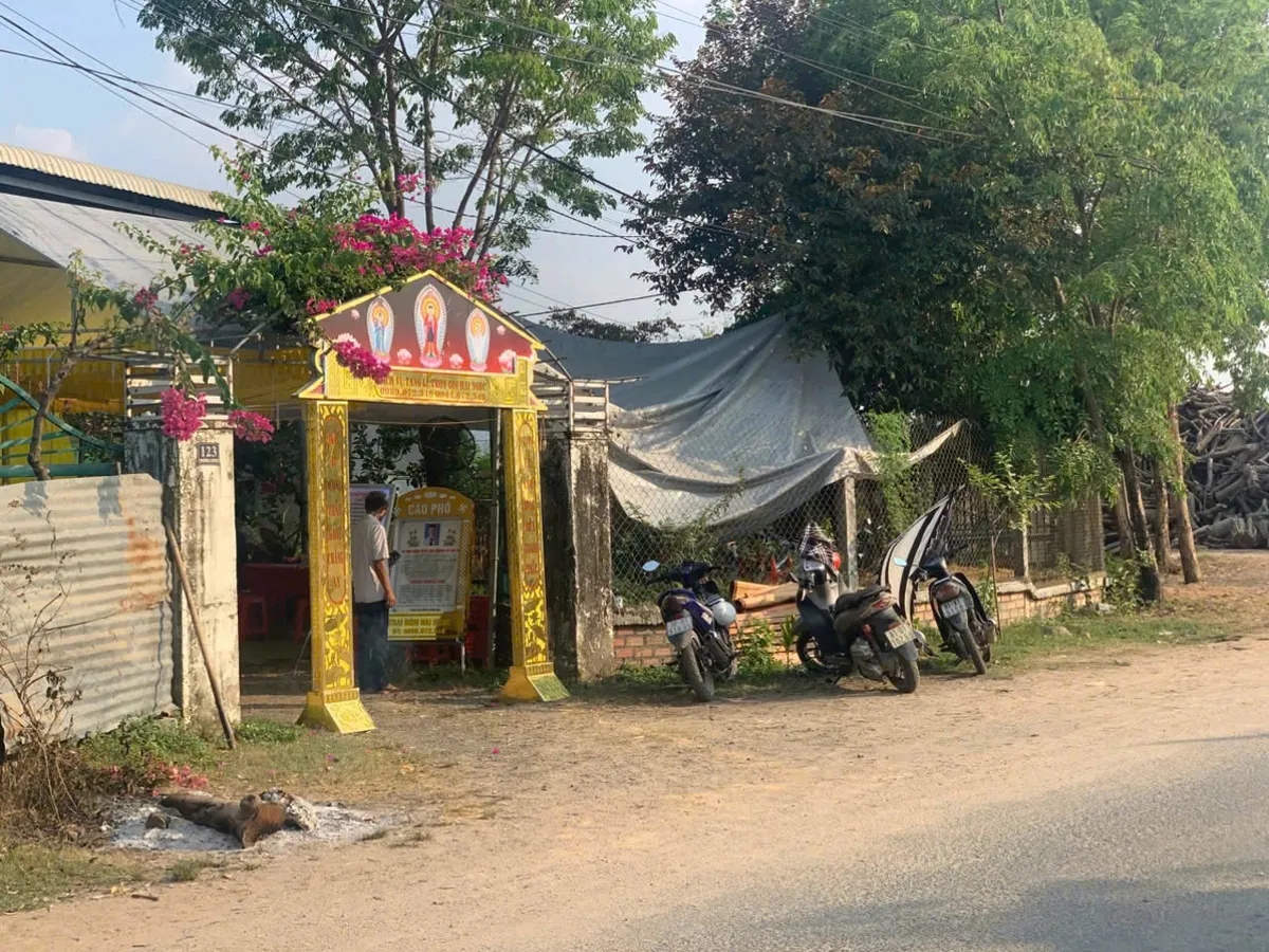 giết người - Ảnh 1.