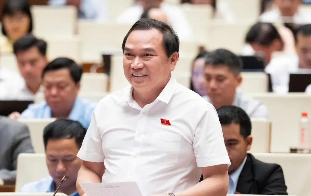 luật sư công - Ảnh 1.