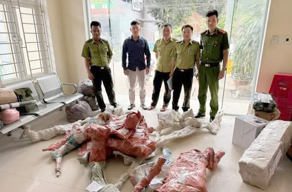 Thu giữ hơn 80kg phôi cây muội hồng chuẩn bị bán ra thị trường - Ảnh 1.