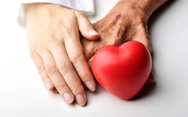 tim mạch - Ảnh 1.