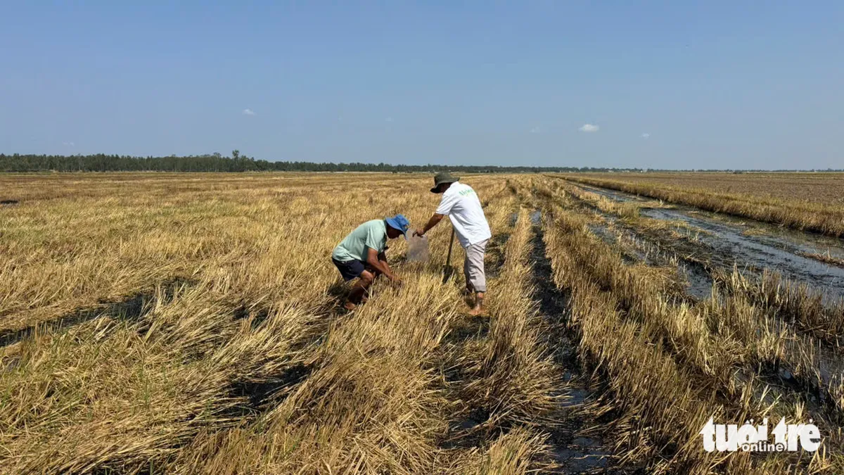 chế phẩm sinh học - Ảnh 2.