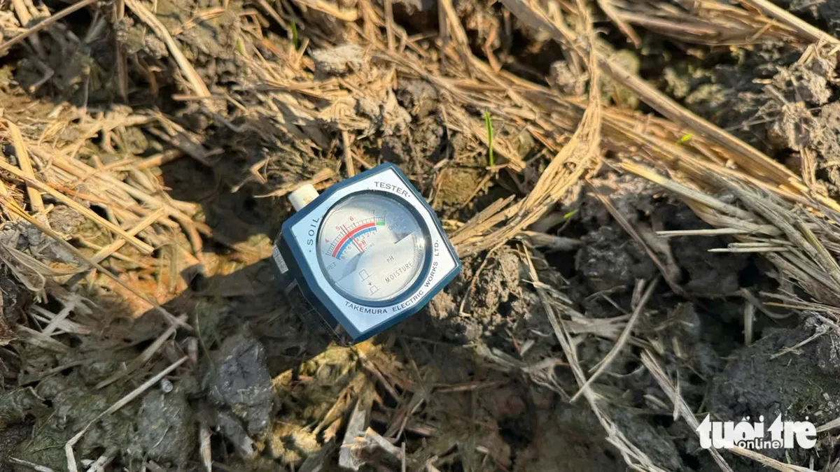 chế phẩm sinh học - Ảnh 3.