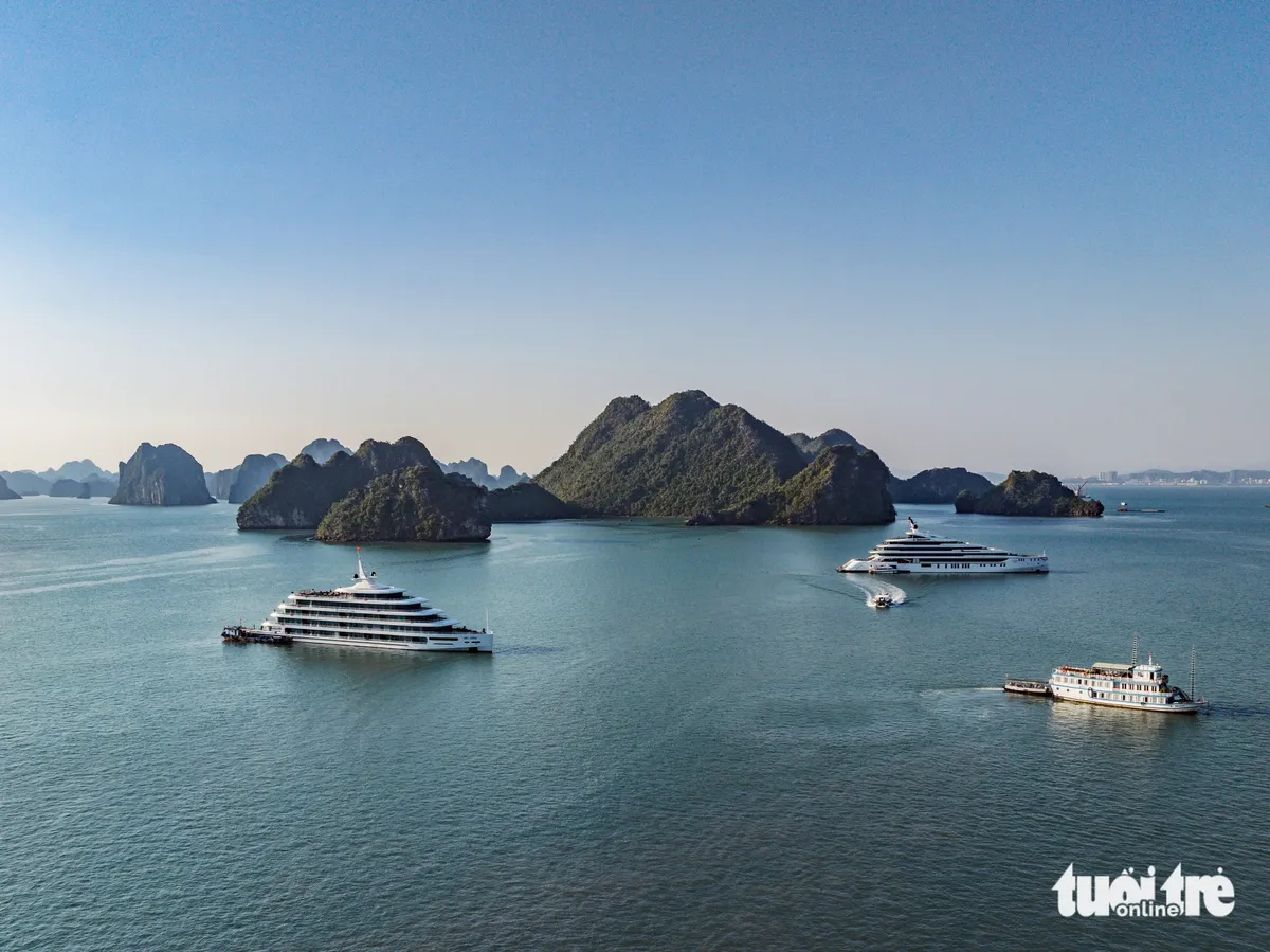 hạ long - Ảnh 1.