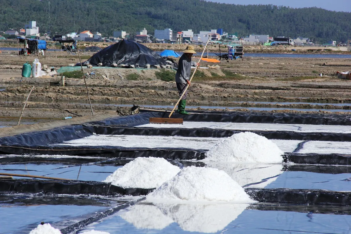 đồng muối Sa Huỳnh - Ảnh 1.